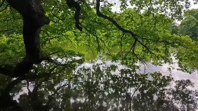 am-stadtpark-chemnitz-Stadtparkteich
