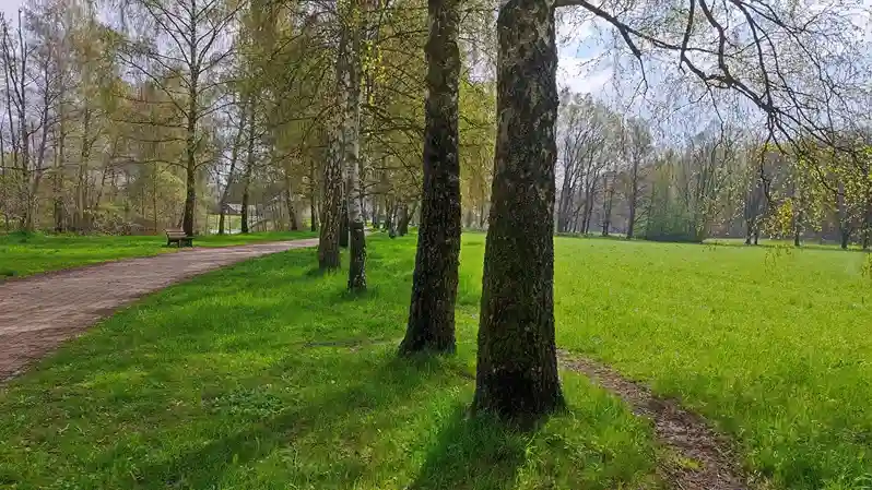 auwald-wiesen-chemnitz