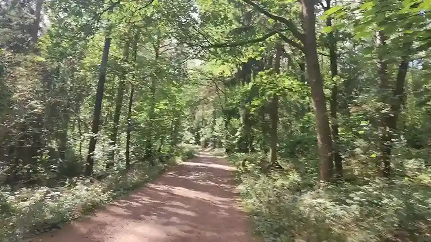 rabensteiner-wald-chemnitz