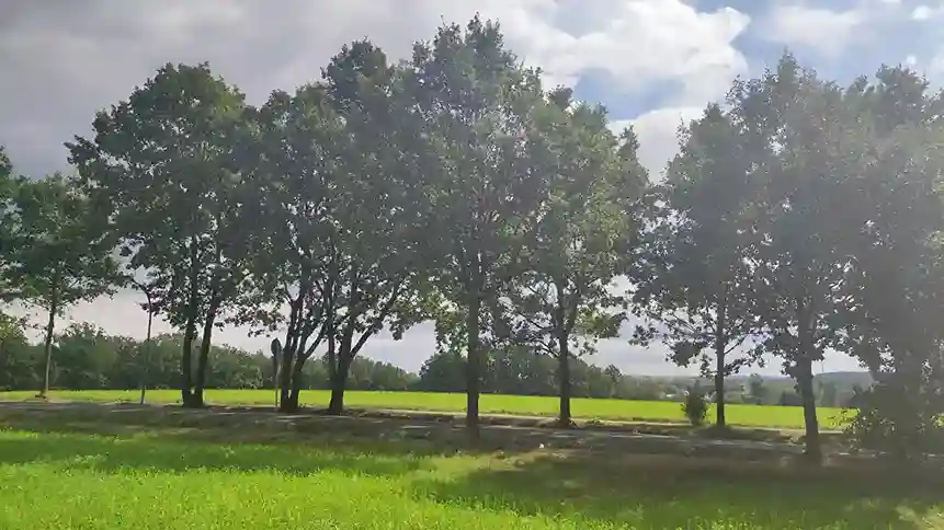riedstraße-chemnitz-schoene-aussicht