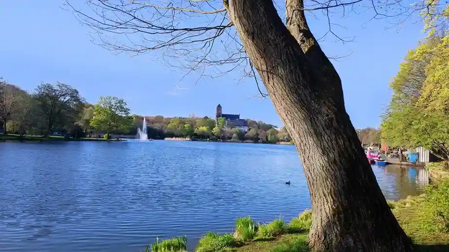 schlossteich-chemnitz